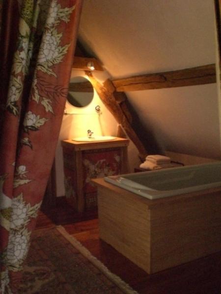 La Touche Bed and Breakfast Menetou-sur-Nahon Pokój zdjęcie