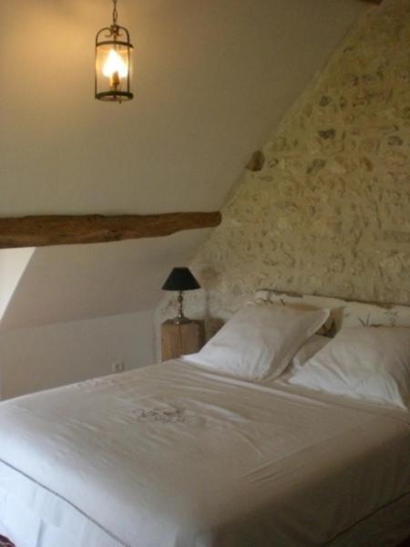 La Touche Bed and Breakfast Menetou-sur-Nahon Pokój zdjęcie