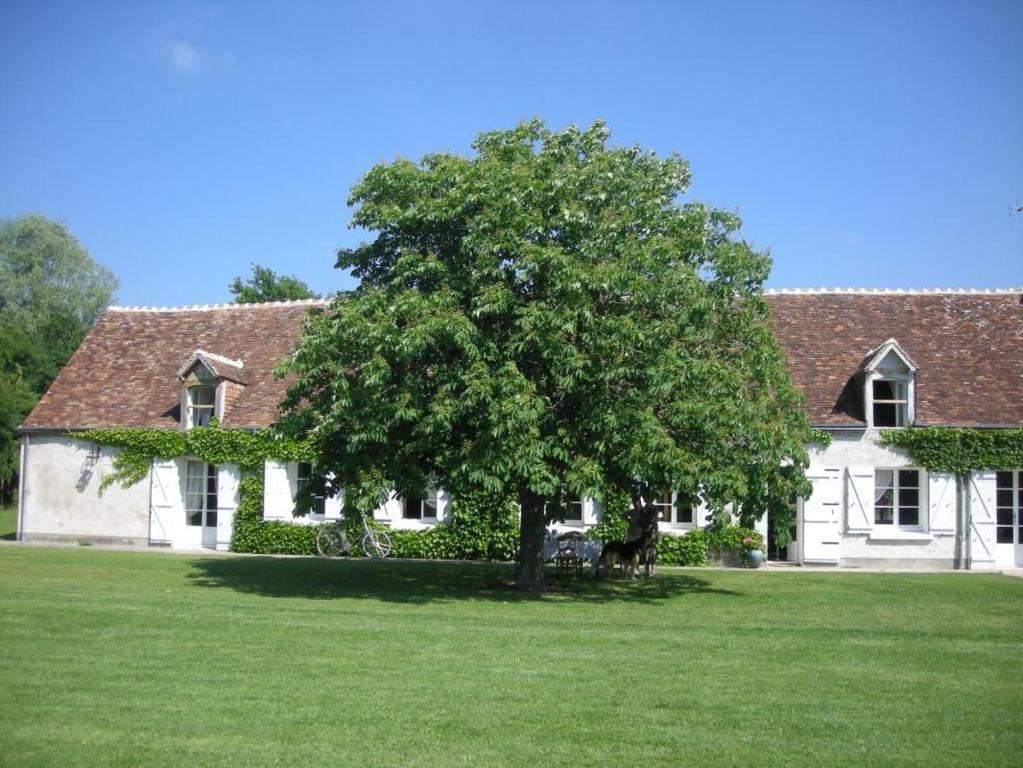 La Touche Bed and Breakfast Menetou-sur-Nahon Zewnętrze zdjęcie